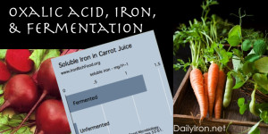 Fermentation, Oxalic Acid, and Mineral Absorption